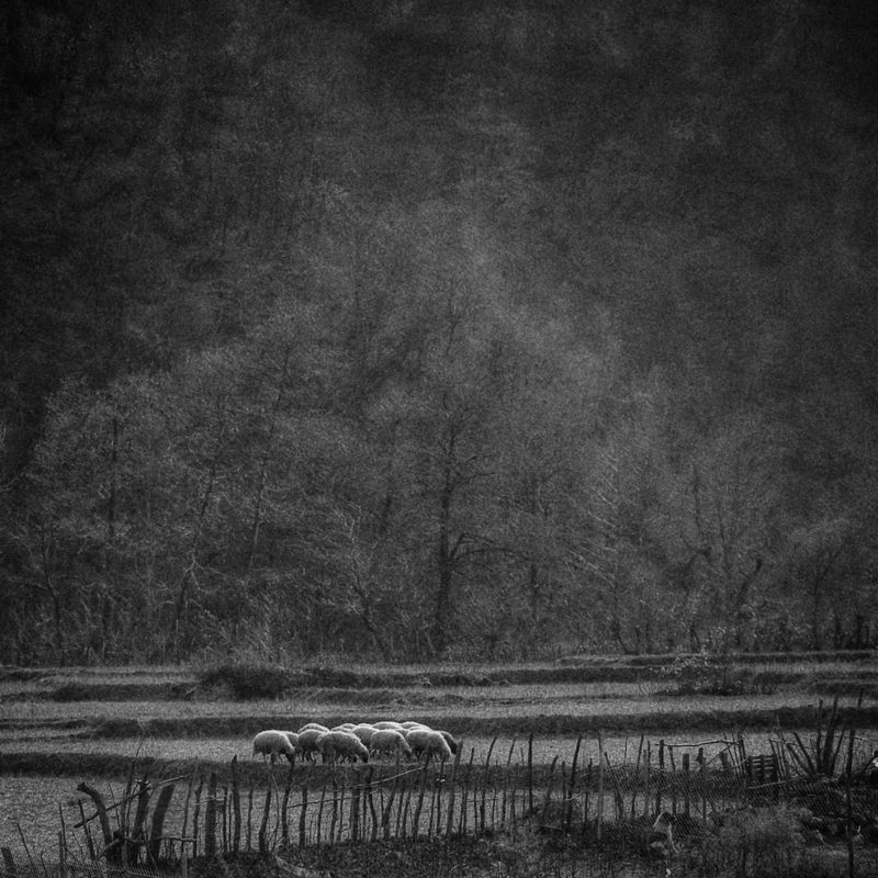 #hosseinmehrzad #myfeatureshoot #friendsinperson #حسین_مهرزاد #theweekoninstagram #everybodystreet #everydayeverywhere #persianlikes #hartcollective #reportagespotlight #uspiran #lensculturetalent #heatercentral #phroommagazine #friendsinperson #streetpho unknown фото превью