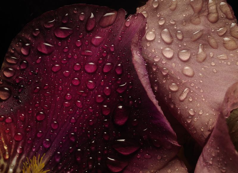 Фактуры (серия) фото превью