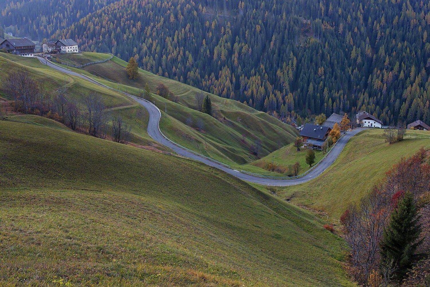 , Игорь Дубровский