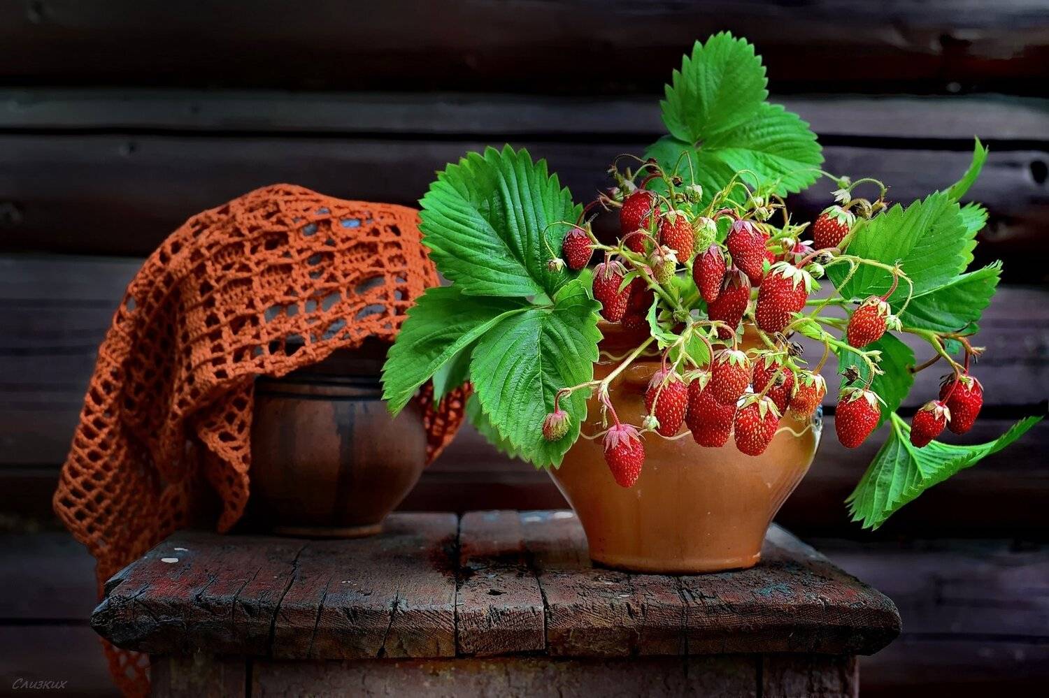 натюрморт, лето, аромат,клубника,ягода, крынка,табурет,горшочек, Инаида