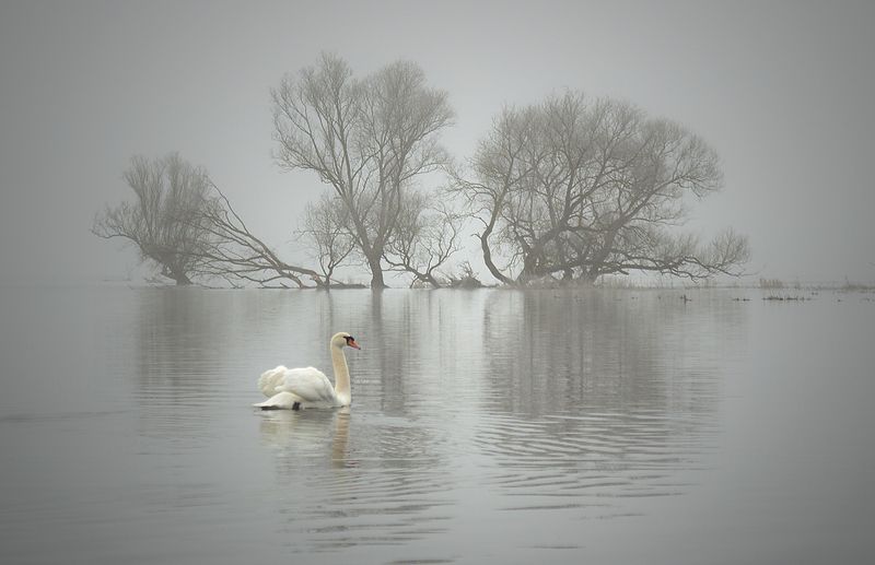 ... фото превью