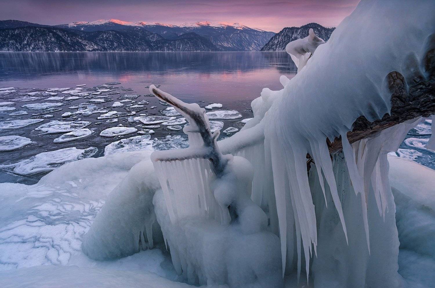 алтай, сибирь, телецкое озеро, алтайский заповедник, лёд, зима, Павел Филатов