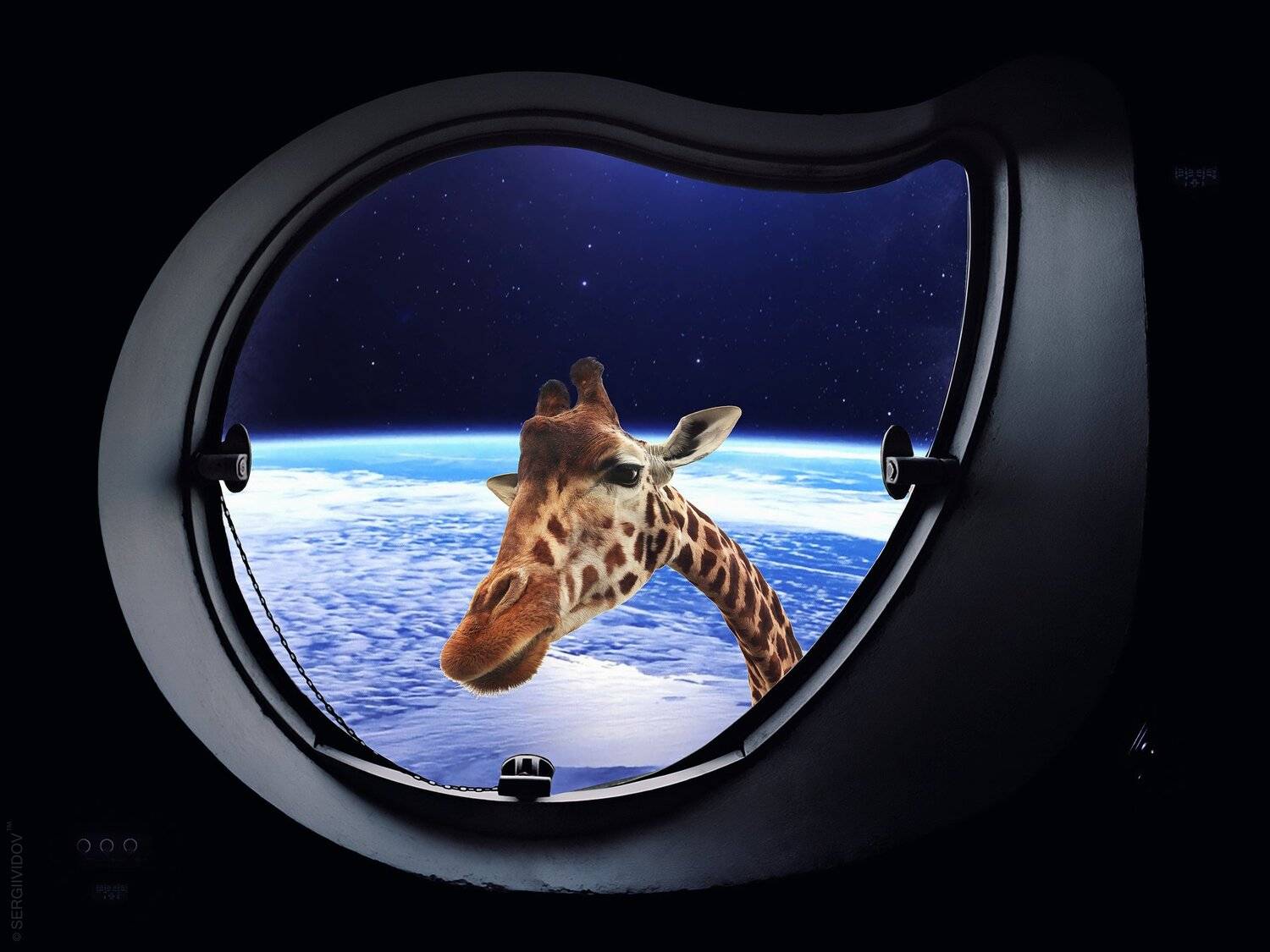 космос, коллаж, жираф, иллюминатор, Sergii Vidov