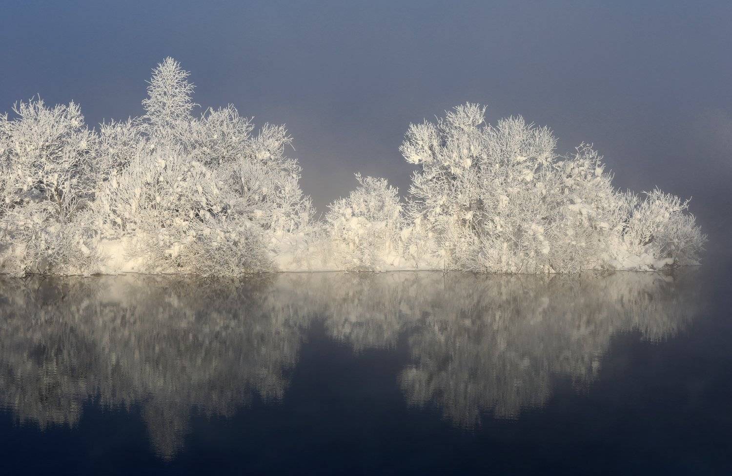, Галина Хвостенко