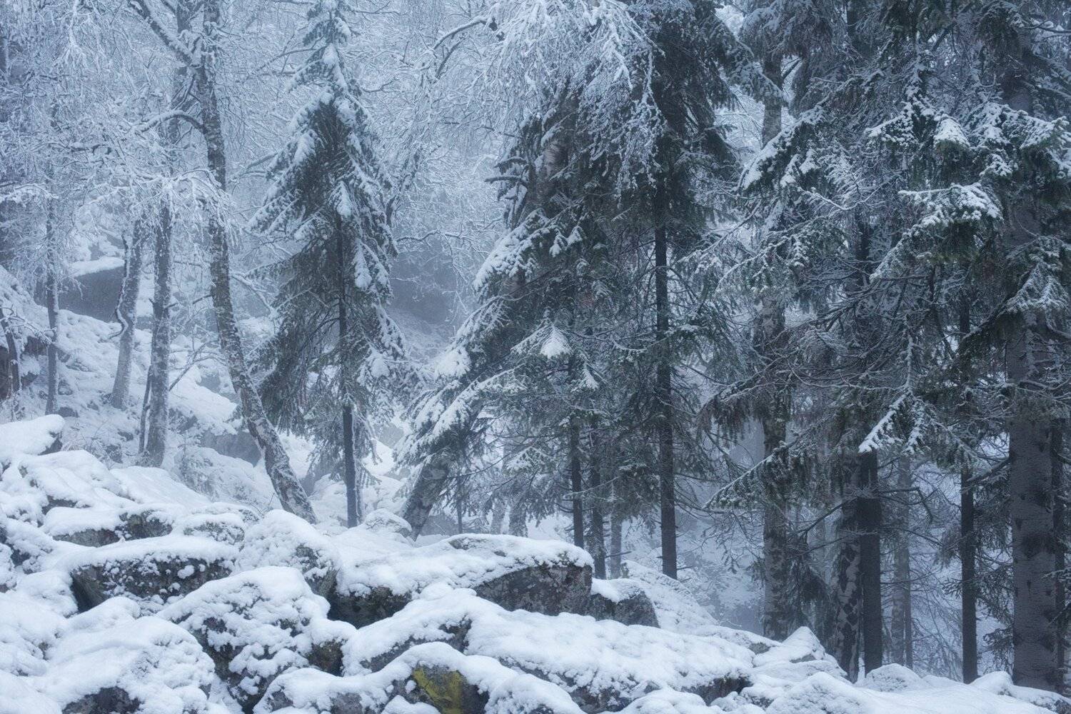 , Сергей Сотников