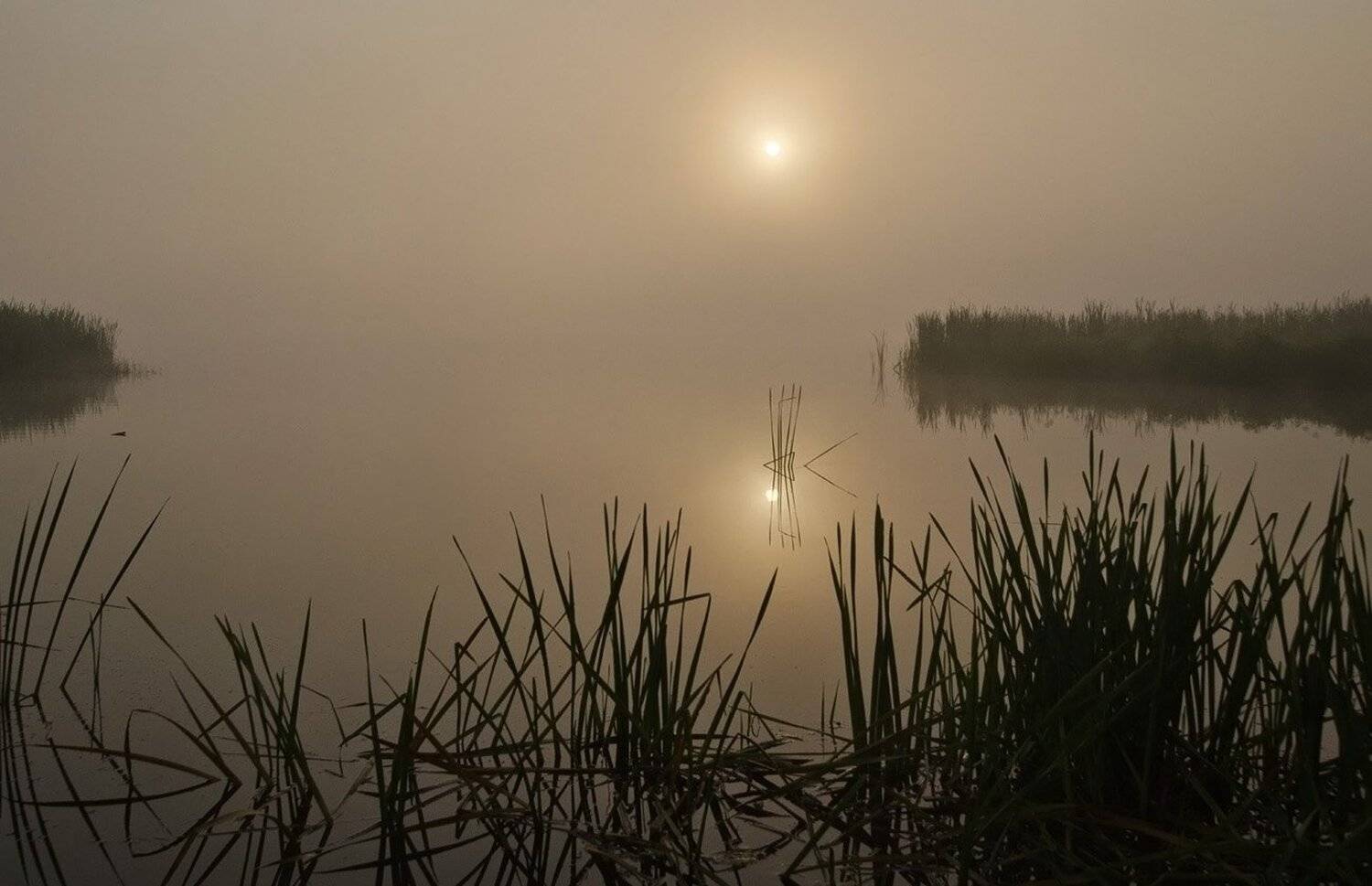 утро рассвет мелководье, Михаил Агеев