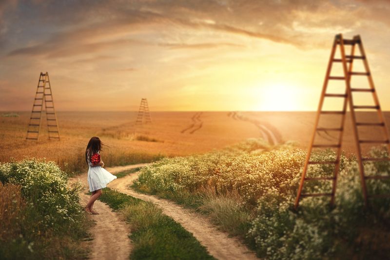 The border фото превью