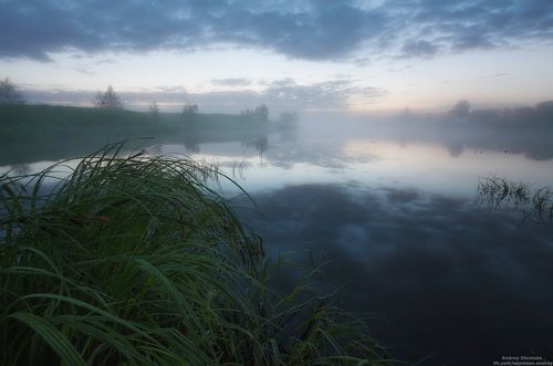 Предрассветный свет
