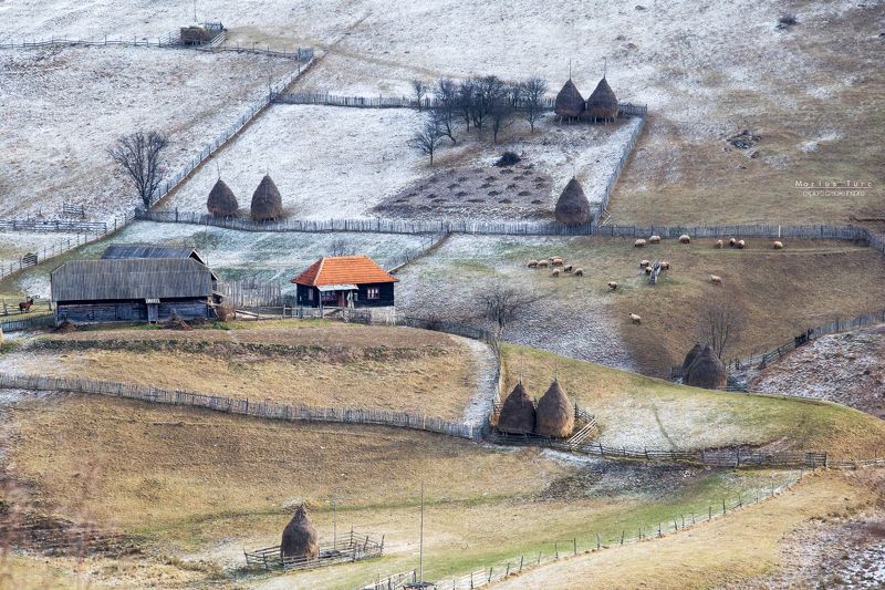 nature,between,landscape,hills,apuseni, Silence фото превью