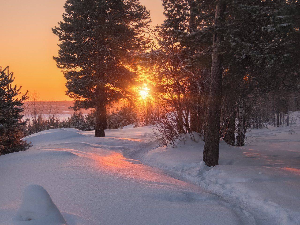 печора,коми,закат, Игорь Подобаев