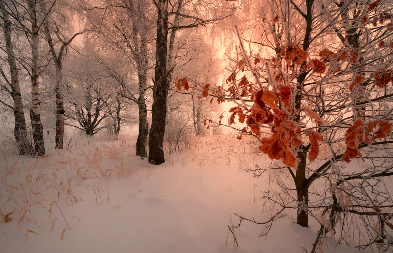 **** фото превью