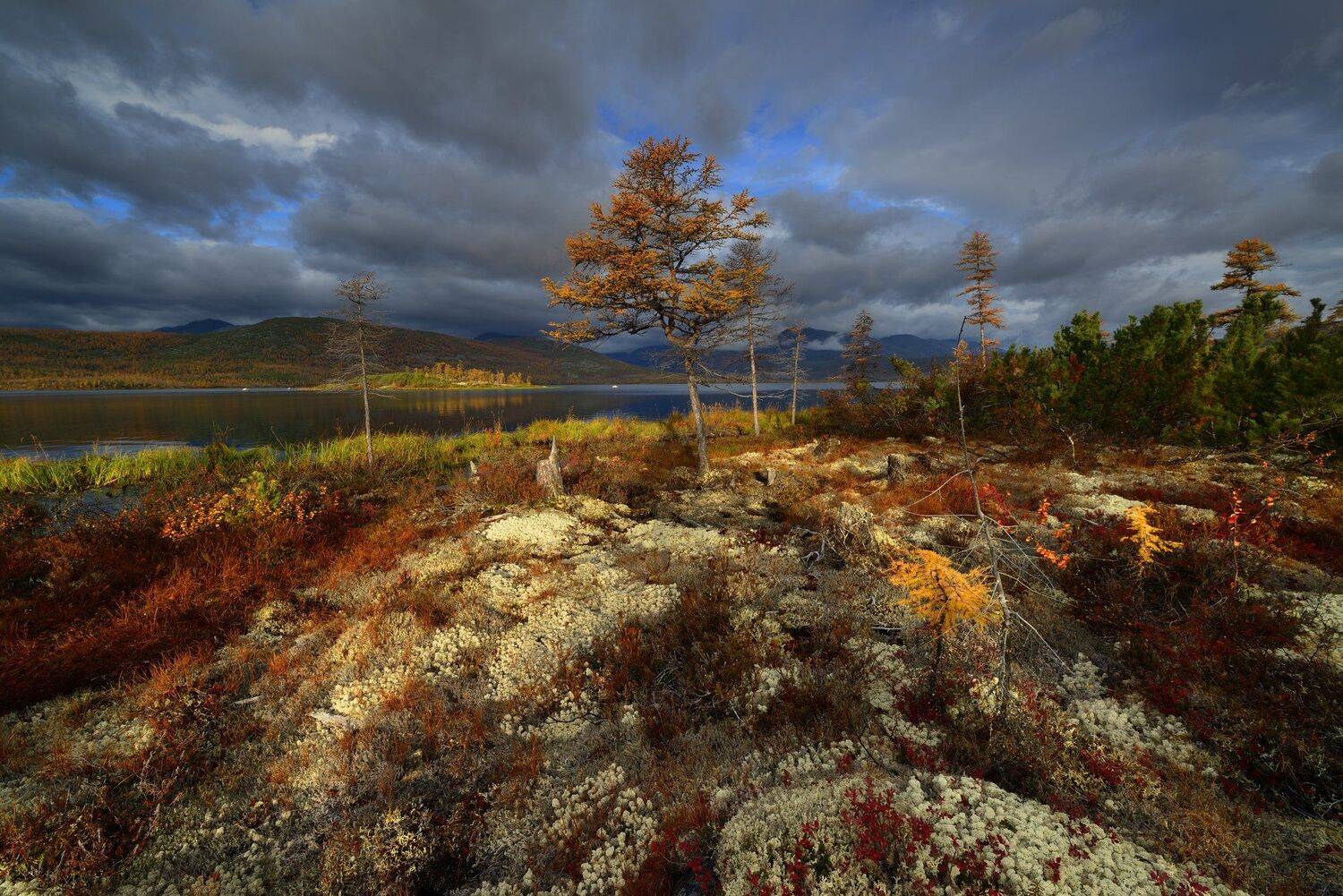Такая осень.... Автор: Максим Евдокимов (phototourtravel.ru) , Максим Евдокимов (phototourtravel.ru)