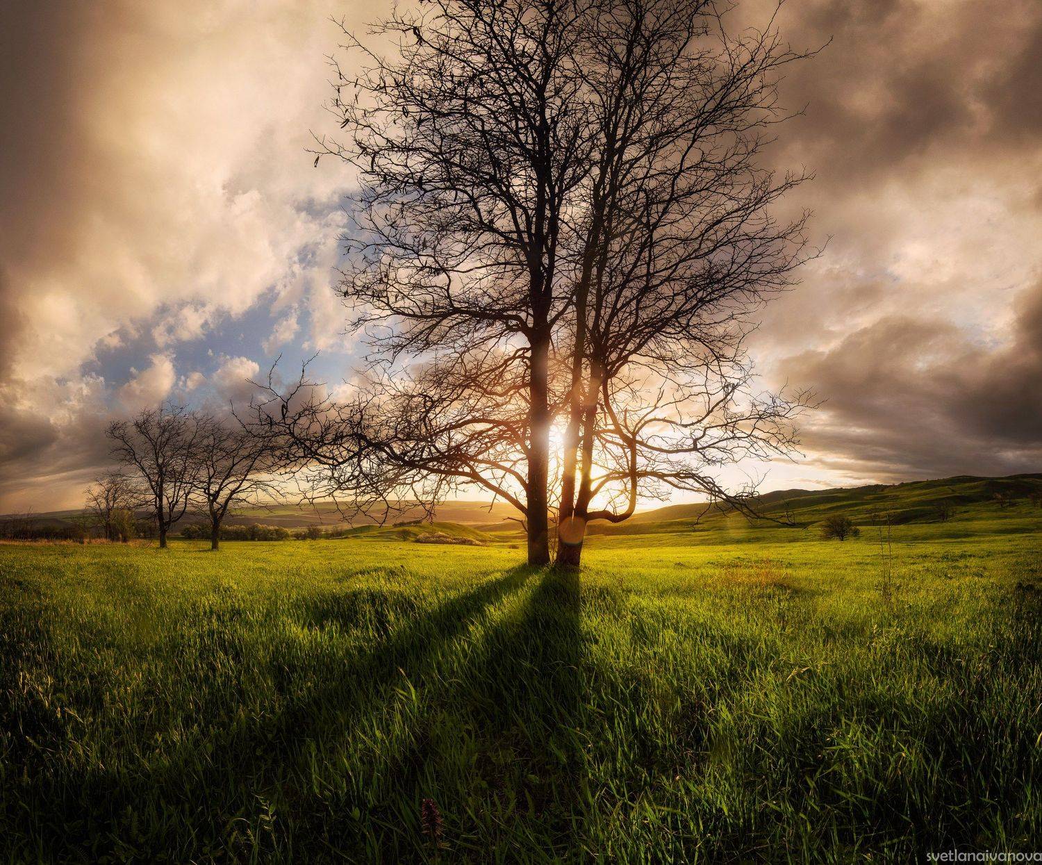 , Светлана Иванова