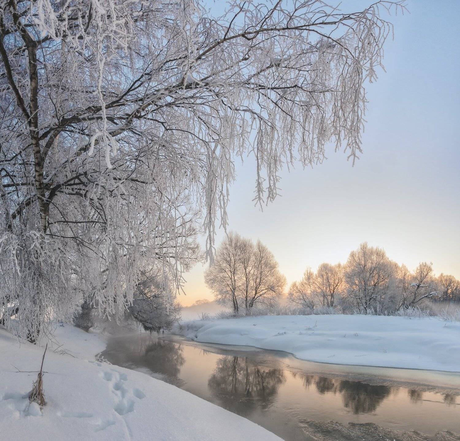 , Николай Андреев