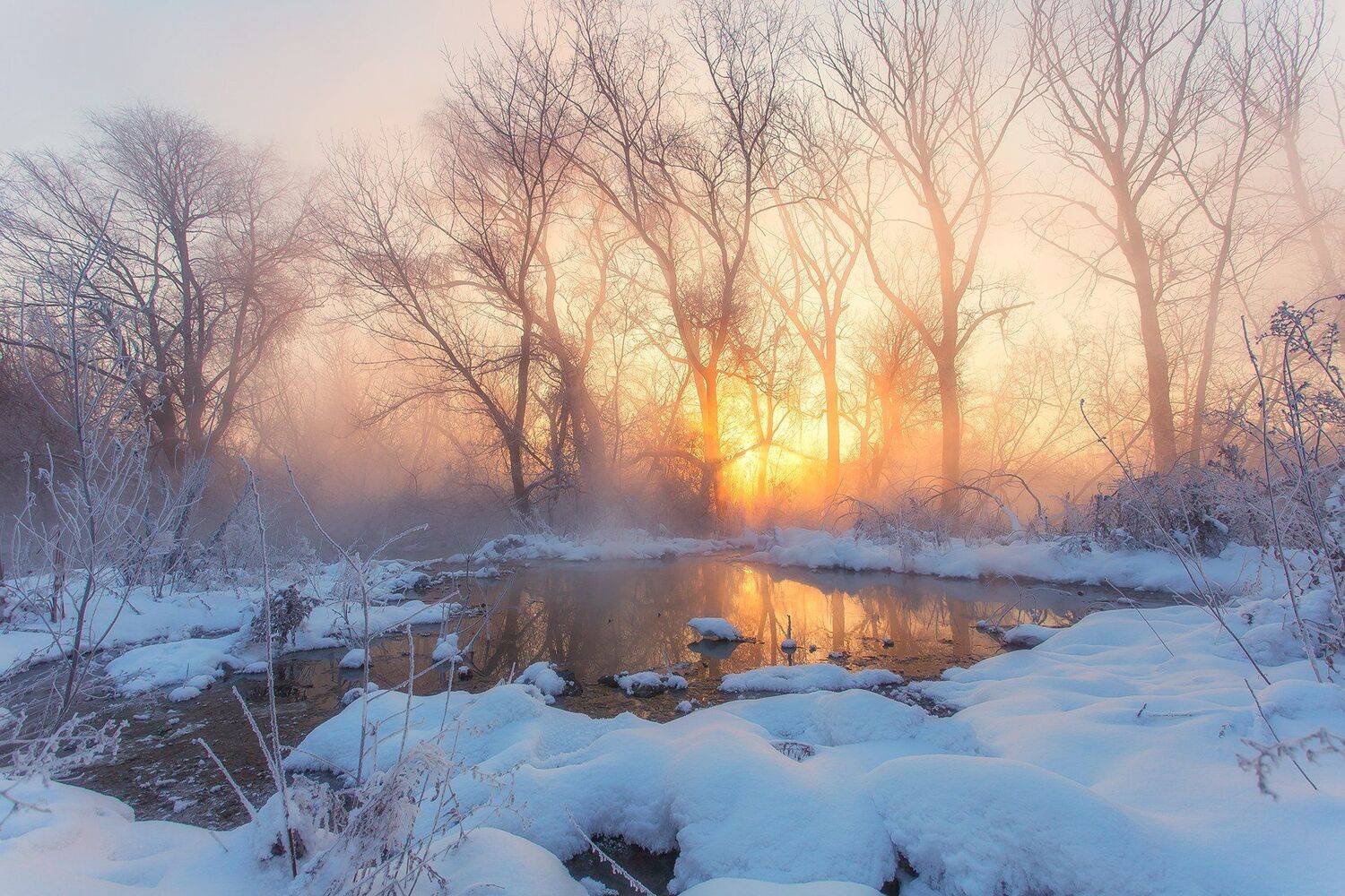 , Павел Сагайдак