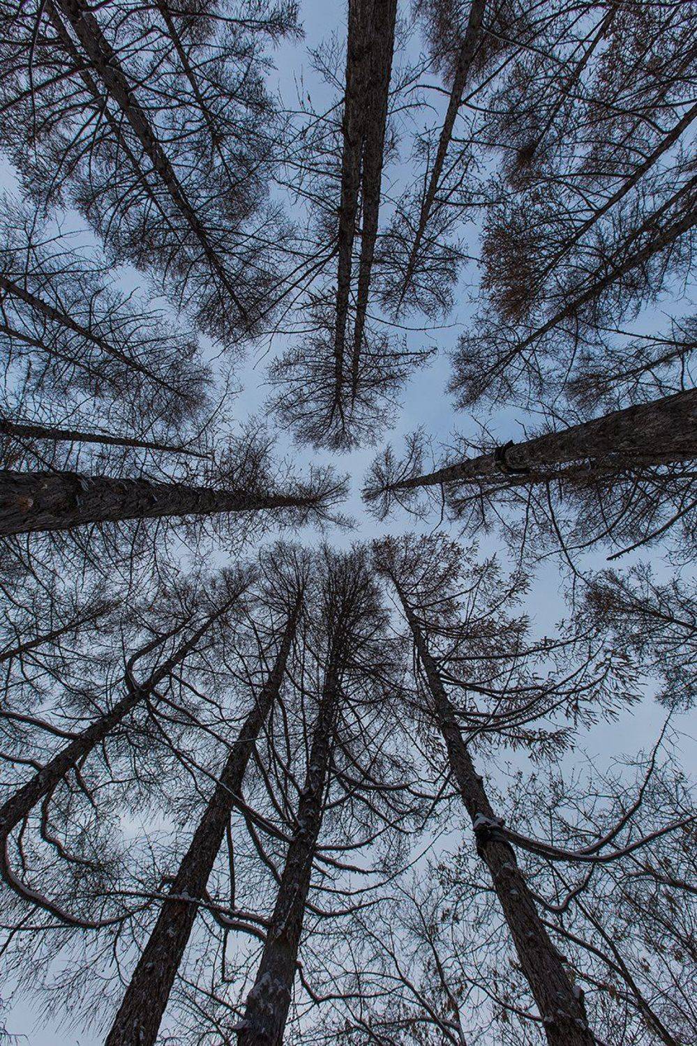 , Иващин Александр