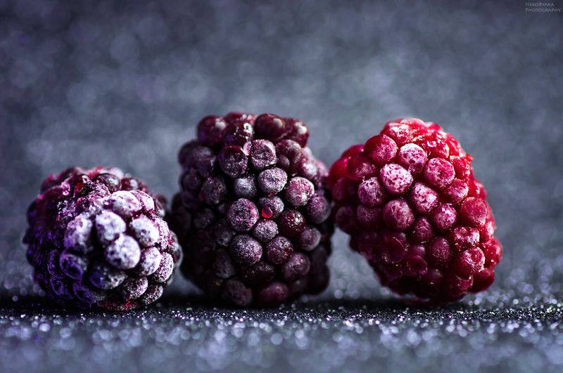 макро, ягоды, лед, иней, зима, вишня, ежевика,macro, berries, ice, frost, winter, cherry, blackberries Иней и лед фото превью