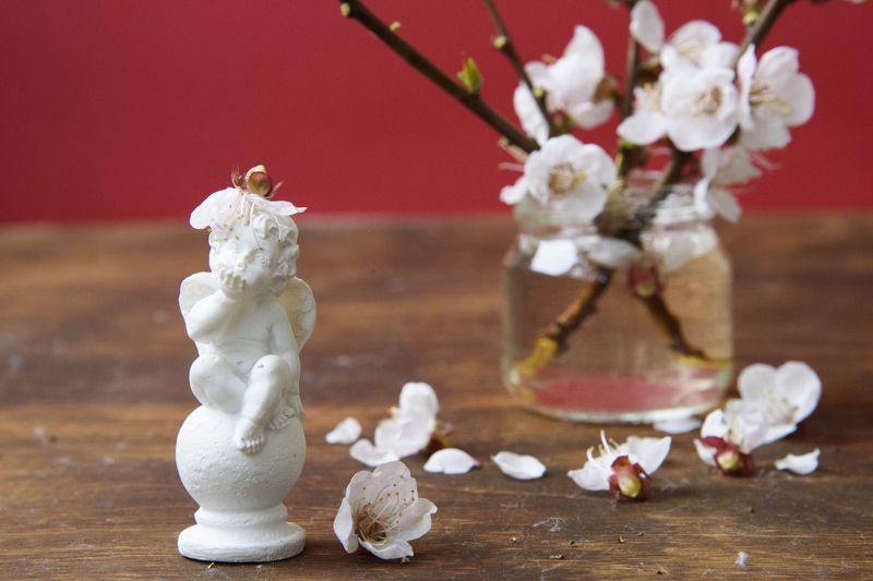 весна, цветы, ангел, любовь, нежность, цветущая вишня, белые цветы Весна фото превью