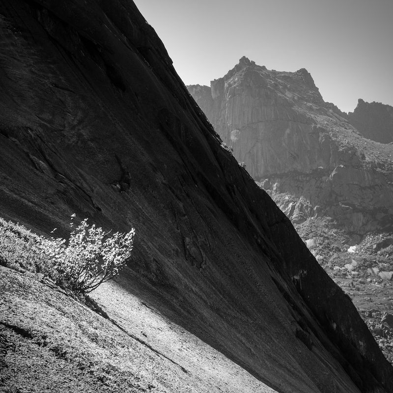 чб, черно-белое, черный, белый, ергаки, красноярский край, природа, пейзаж, путешествия, туризм, тур, скала, куст, дерево, крутой, высокий, большой, горы, хребет В параболе фото превью