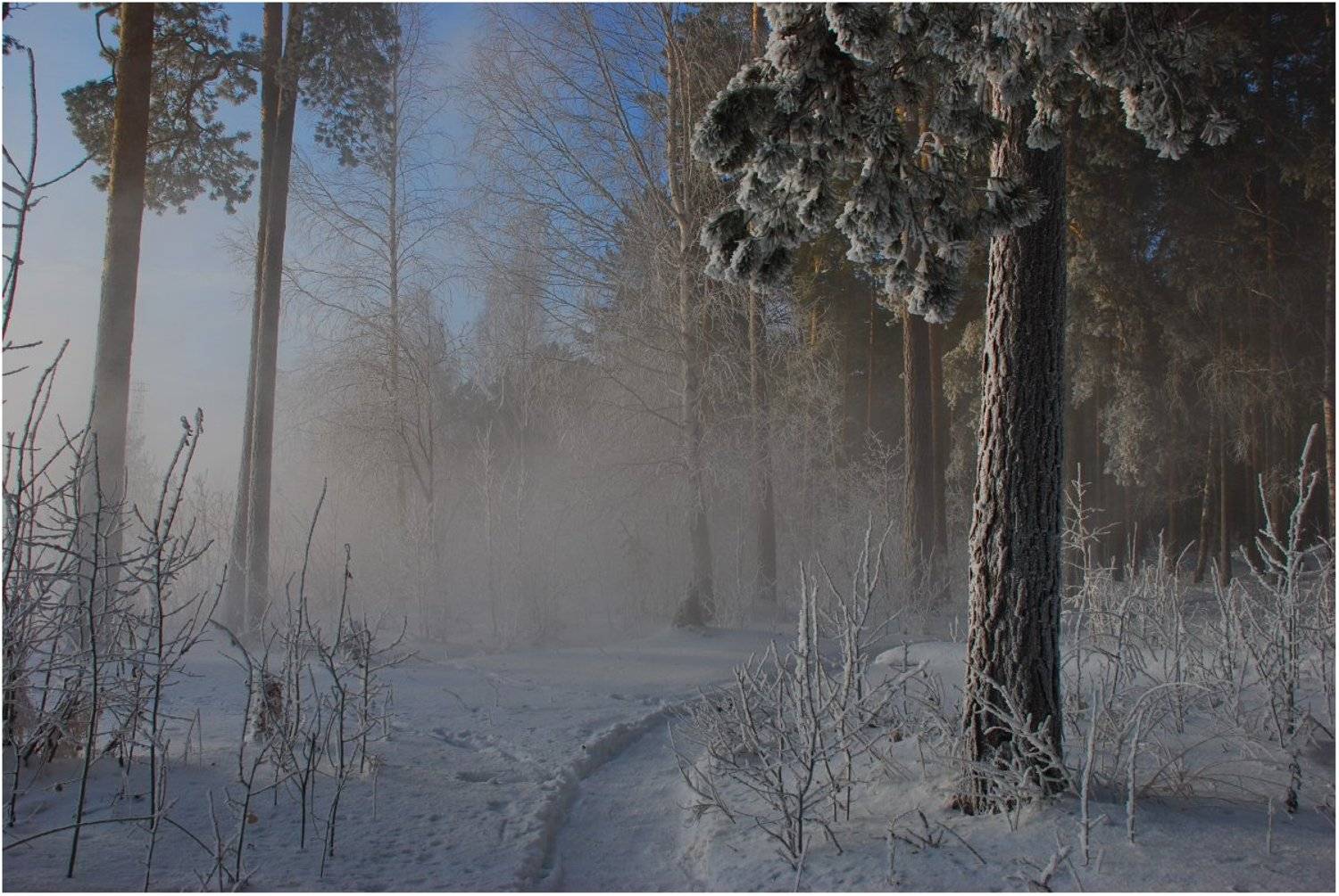 , Кондратьев Алексей