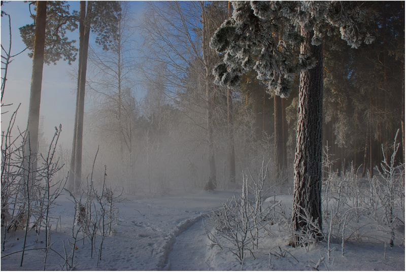 Рассветная... фото превью