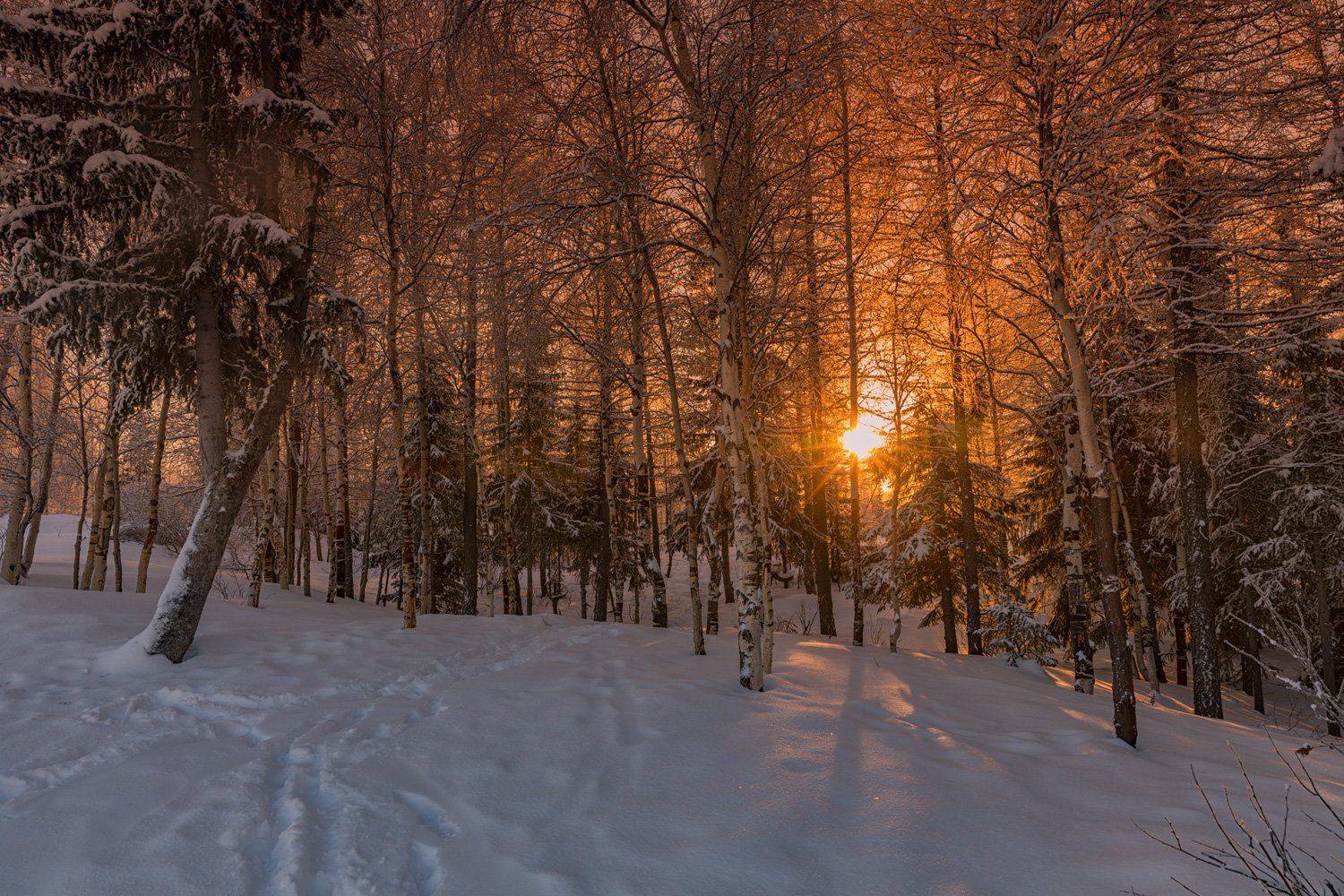 , Евгений Кужилев