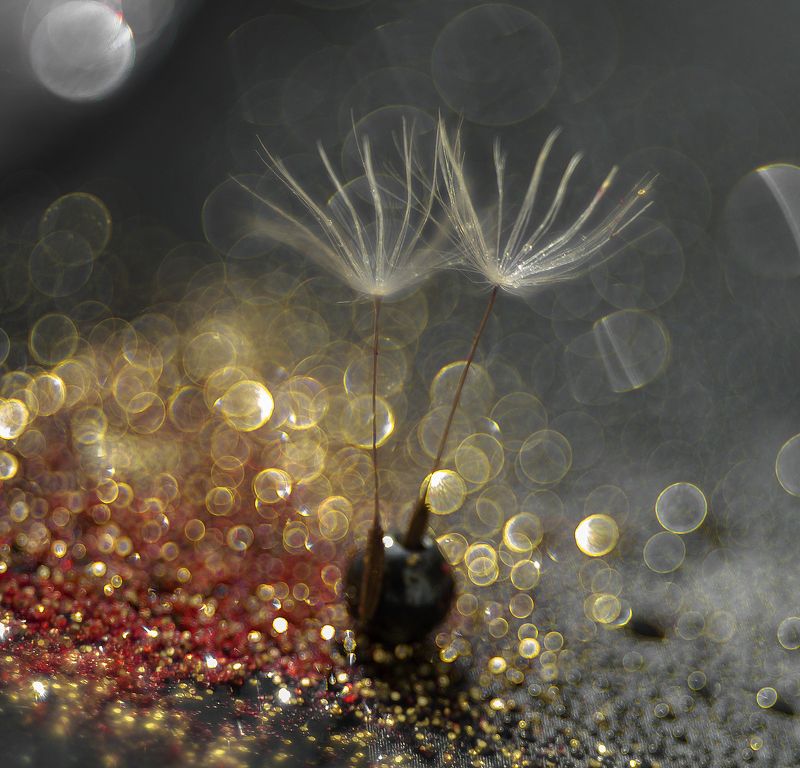 Romantik. фото превью