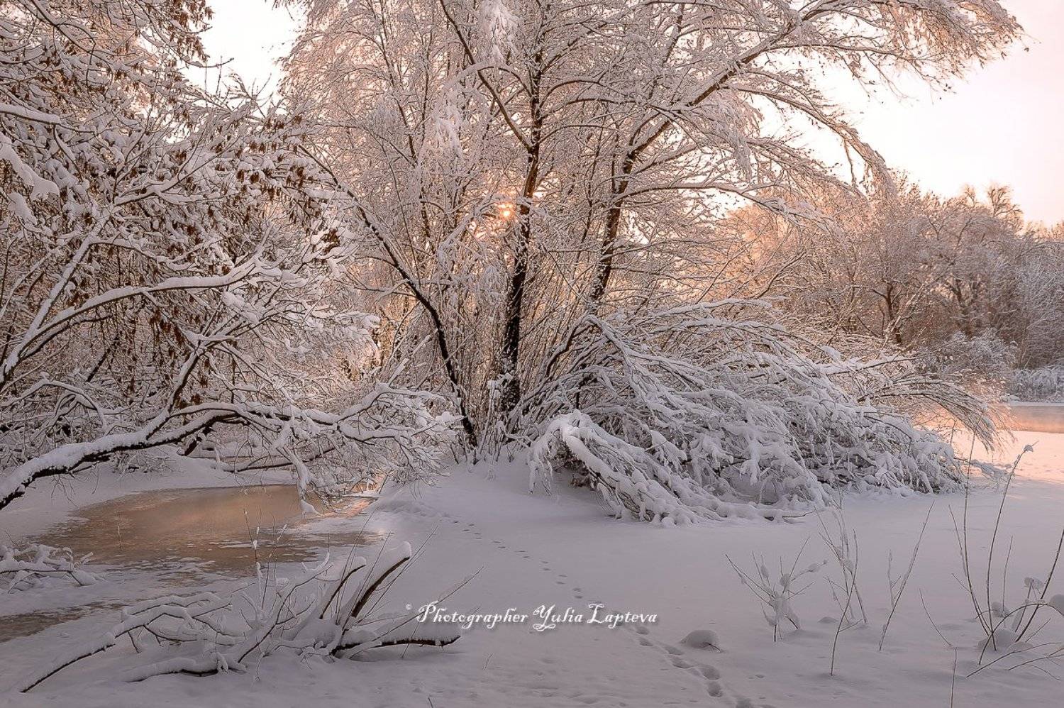 пейзаж,природа,утро,рассвет,зима,февраль,россия,река, Юлия Лаптева