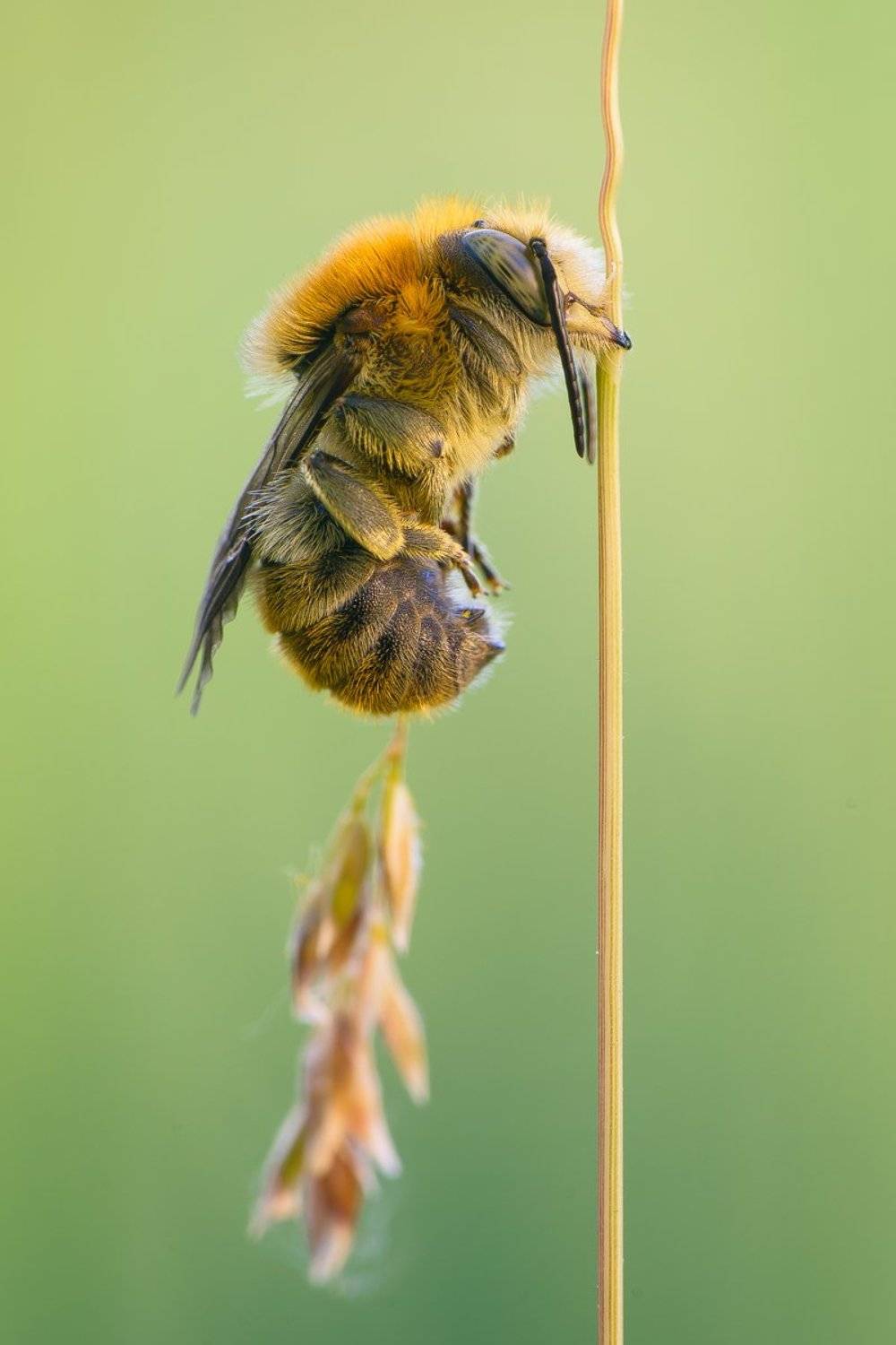 , Кузнецов Дмитрий