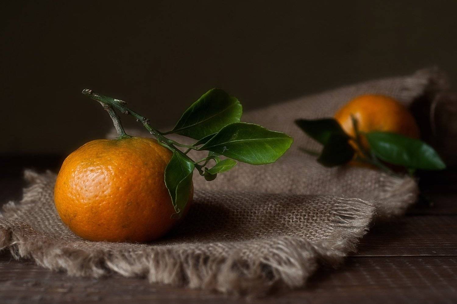 натюрморт,мандарины, Наталия