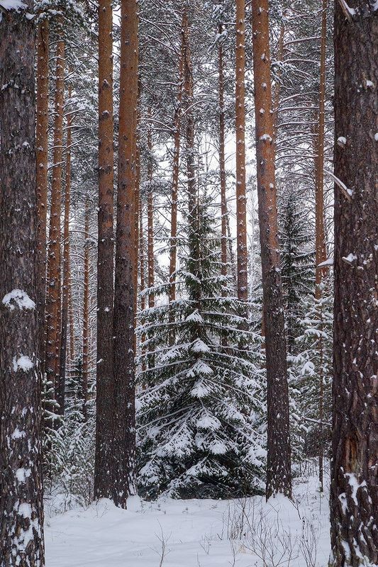 Рамки? фото превью