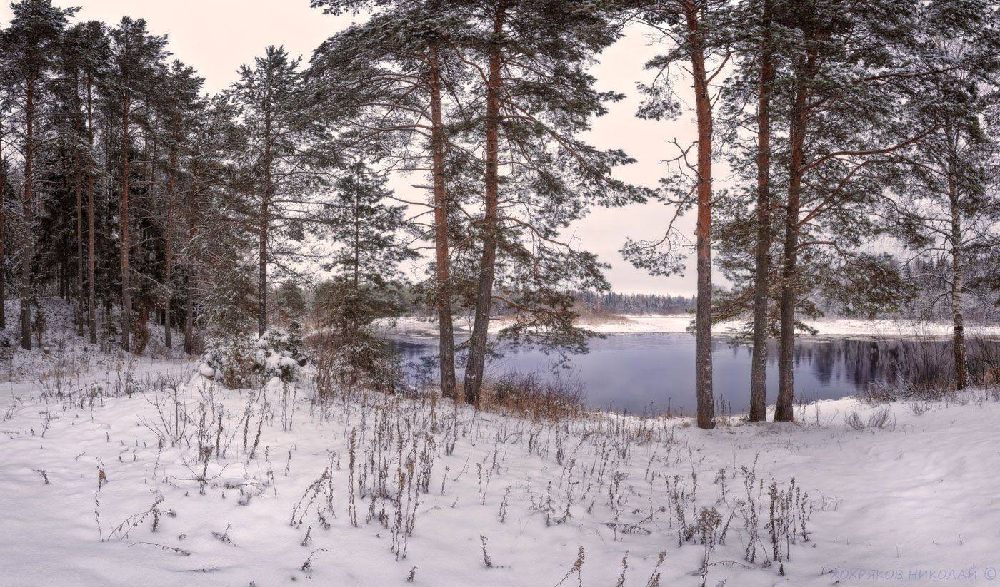 , Хохряков Николай