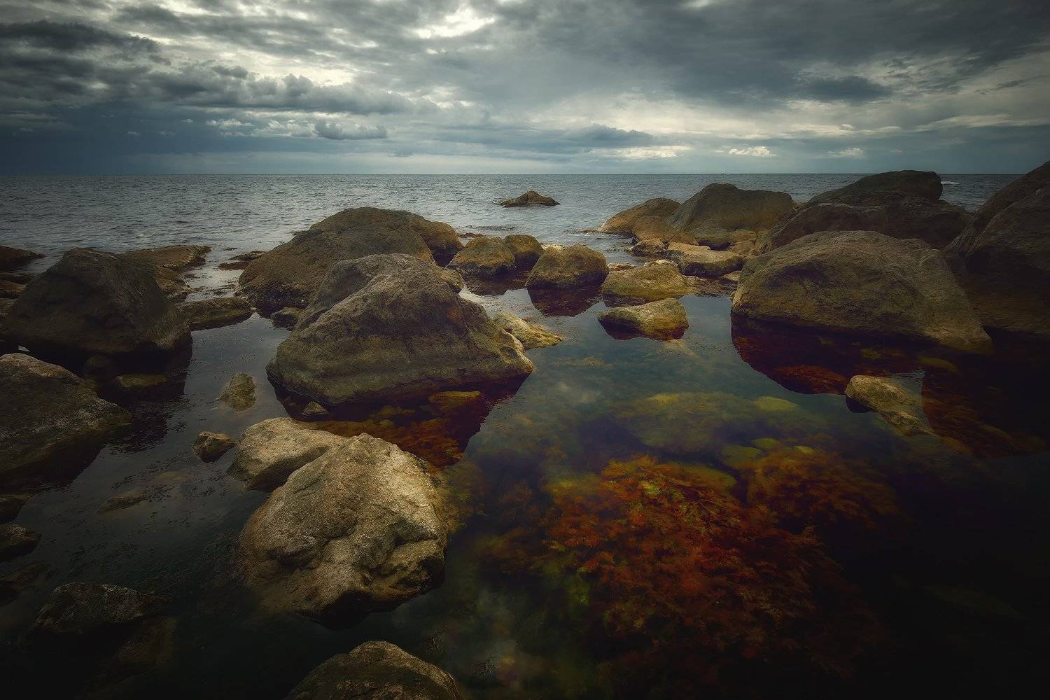 , Алексей Никонов