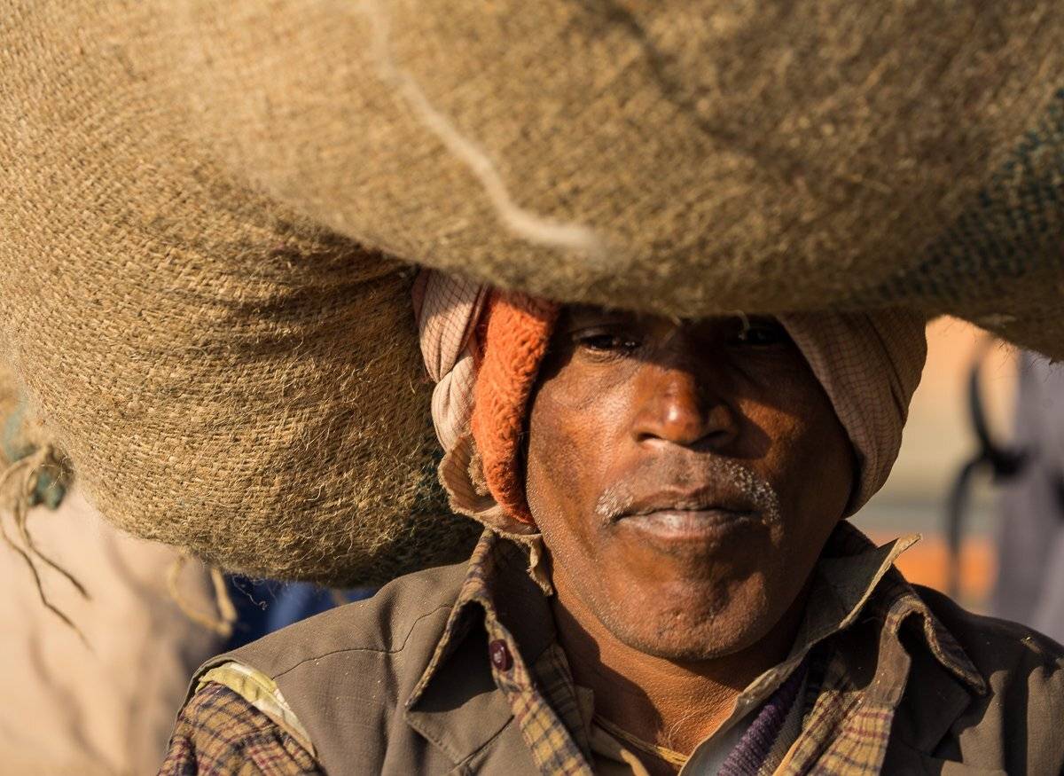 , Константин Орлов