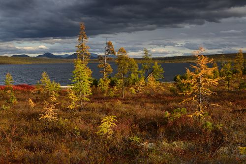 Бухта Биологов и осеннее солнце...