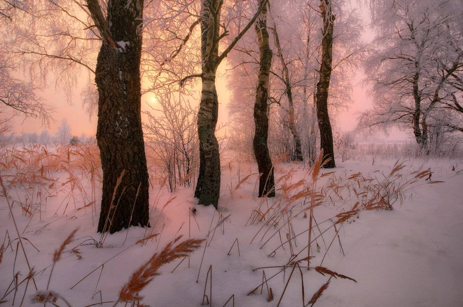 , Сергей (Bekr)