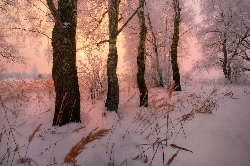 *** фото превью