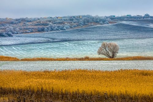 Живопись полей - зима