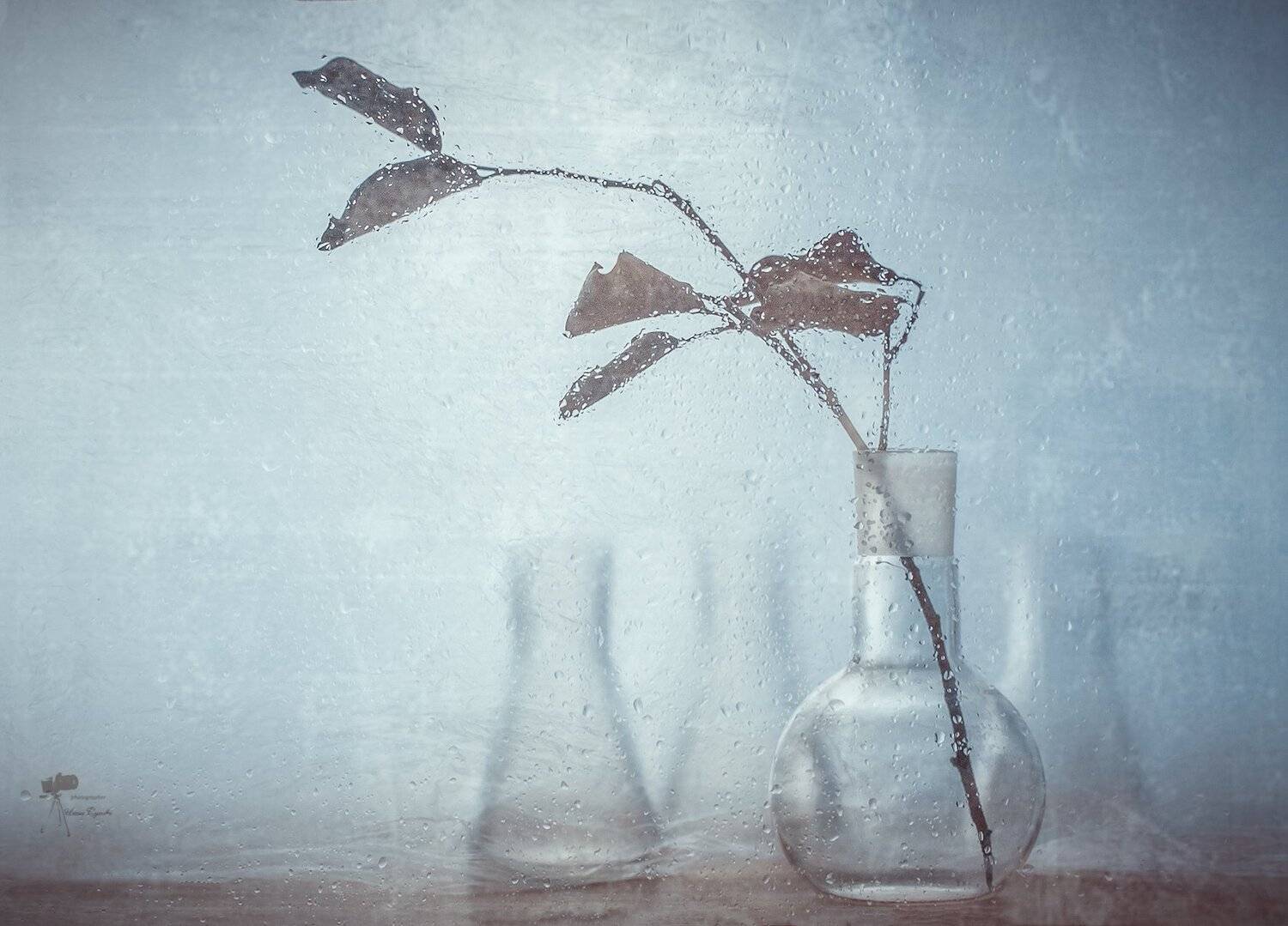 , Инна Сухова