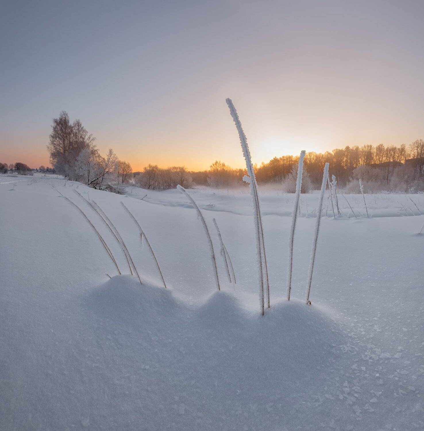 , Николай Андреев