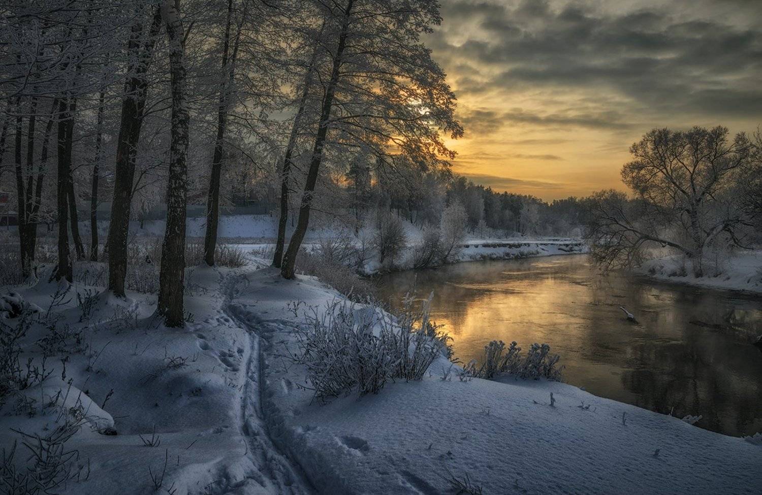 , Евгений Иванюшенко