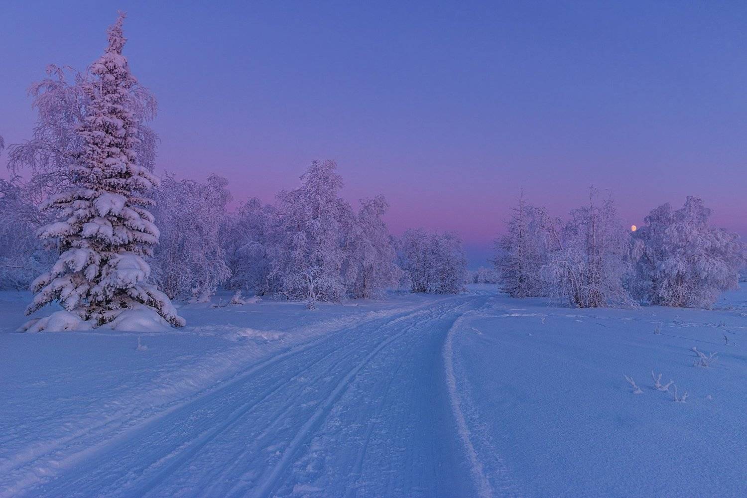 ямал , зима , природа, салехард ,  ямал ,север, Настя Братка