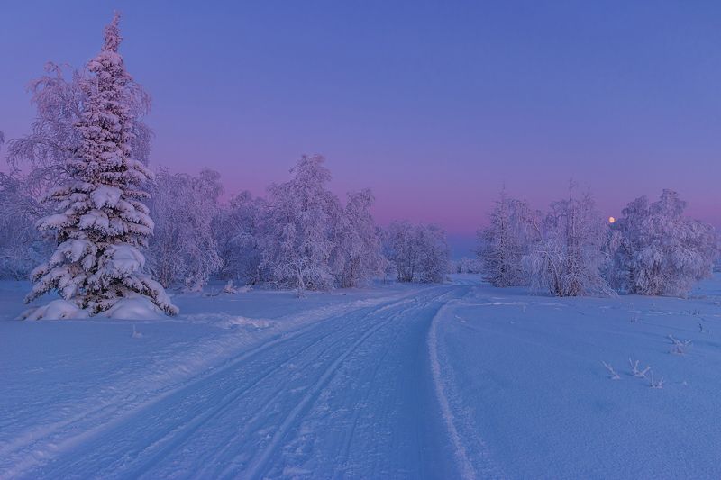 ямал , зима , природа, салехард ,  ямал ,север \