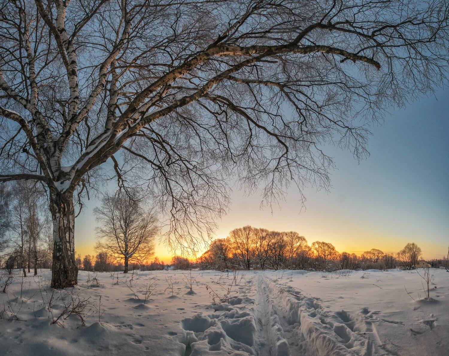 , Николай Андреев