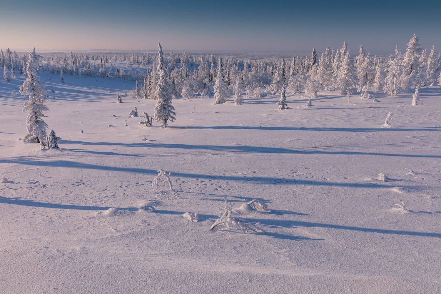 , Евгений Кужилев