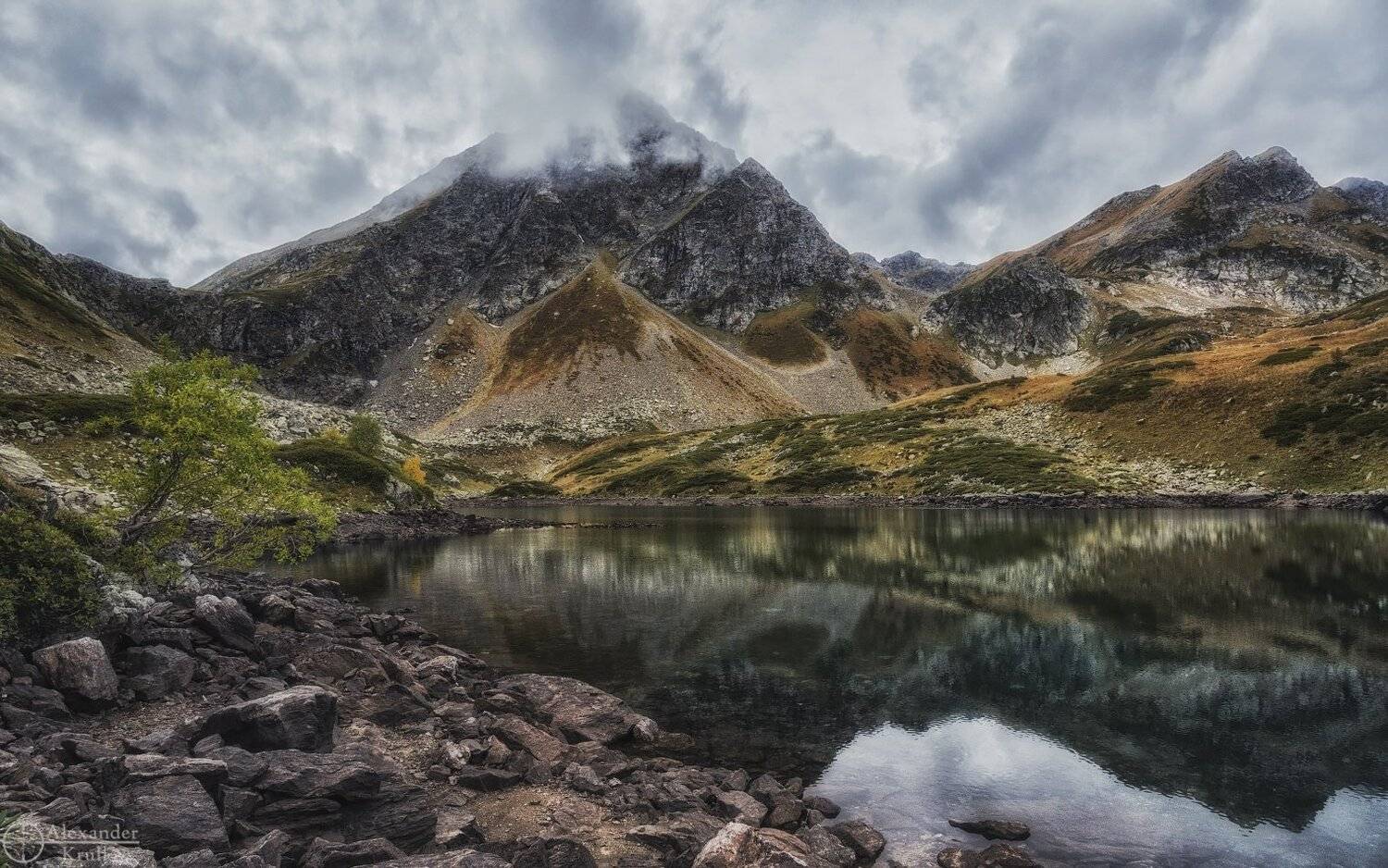 , Александр Круль