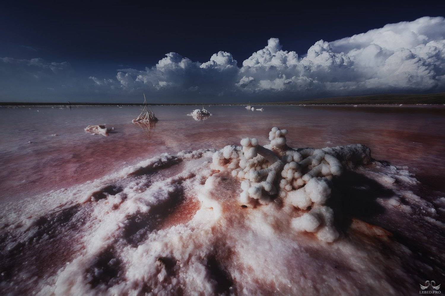 , Виктор Лебедь