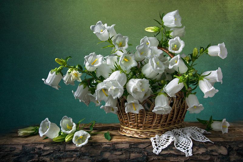 красивый натюрморт с колокольчиками,цветы,букет,корзина,художественное фото,искусство,творчество,костюченко людмила. Белые колокольчики в корзине. фото превью