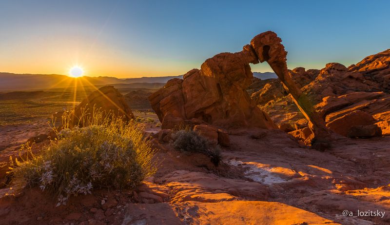 Слоник в рассветных лучах) фото превью