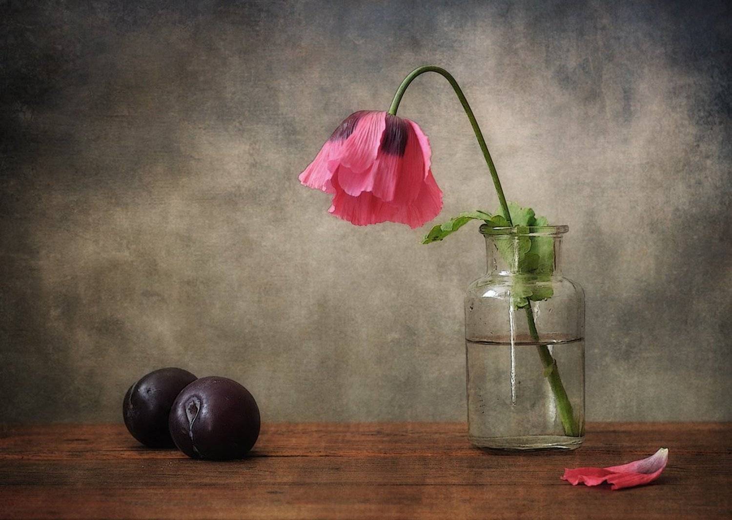 натюрморт,мак,сливы, Наталия